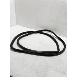 2018-2024 TOYOTA CAMRY FRONT LEFT DRIVER SIDE DOOR ON BODY WEATHERSTRIP SEAL OEM