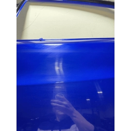 ACURA TLX 2015-2020 REAR LEFT DRIVER SIDE DOOR SHELL PANEL OEM BLUE = B621P =