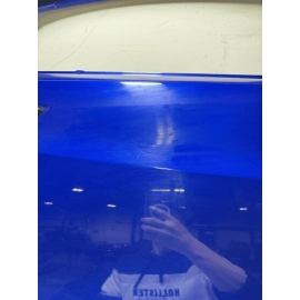 ACURA TLX 2015-2020 REAR RIGHT PASSENGER SIDE DOOR SHELL PANEL OEM BLUE =B621P=