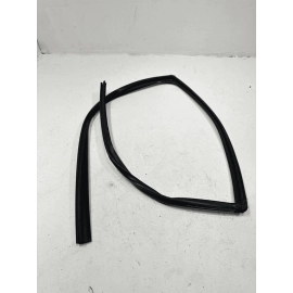 2015-2020 Acura TLX Rear Left Driver Side Door Window Glass Run Channel Seal OEM