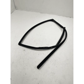 2015-2020 Acura TLX Rear Left Driver Side Door Window Glass Run Channel Seal OEM