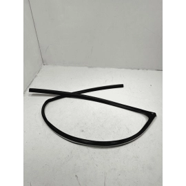 2015-2020 ACURA TLX FRONT LEFT DRIVER SIDE DOOR WINDOW GLASS RUN CHANNEL OEM
