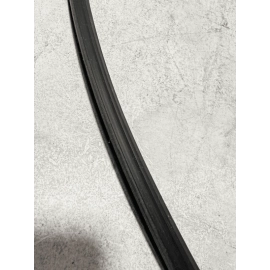 ACURA TLX 2015-2020 FRONT RIGHT PASSENGER SIDE DOOR WINDOW GLASS RUN CHANNEL OEM