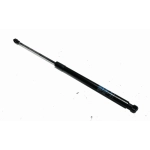 2013-2020 Chevrolet Sonic Rear Right Passenger Side Liftgate Strut of Trunk OEM