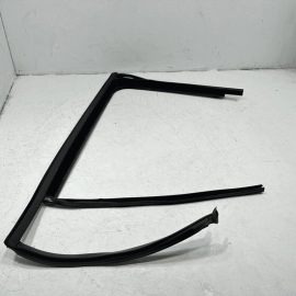2018-2024 Volkswagen Atlas Rear Passenger Door Window Glass Run Channel Seal OEM