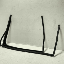 2018-2024 Volkswagen Atlas Rear Passenger Door Window Glass Run Channel Seal OEM
