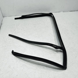 2018-2024 Volkswagen Atlas Rear Passenger Door Window Glass Run Channel Seal OEM