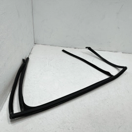 2018-2024 Volkswagen Atlas Rear Passenger Door Window Glass Run Channel Seal OEM