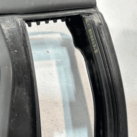 2018-2024 Volkswagen Atlas Rear Passenger Door Window Glass Run Channel Seal OEM