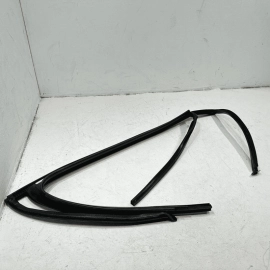 2018-2024 Volkswagen Atlas Rear Passenger Door Window Glass Run Channel Seal OEM
