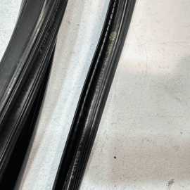 2018-2024 Volkswagen Atlas Rear Passenger Door Window Glass Run Channel Seal OEM