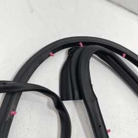 2015-2020 Acura TLX Rear Left Driver LH Side Door Seal Weatherstrip Rubber OEM