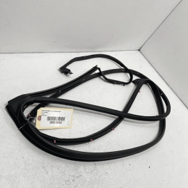 2015-2020 Acura TLX Rear Left Driver LH Side Door Seal Weatherstrip Rubber OEM