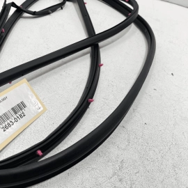 2015-2020 Acura TLX Rear Left Driver LH Side Door Seal Weatherstrip Rubber OEM