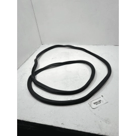 2018 - 2024 VOLKSWAGEN ATLAS REAR TRUNK TAILGATE SEAL WEATHER STRIPPING OEM