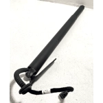 2020-2022 Volkswagen Atlas Rear Driver Left Trunk Lid Lift Cylinder OEM