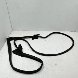 Front Left Driver Side Door Weatherstrip Seal Lexus NX300 2018-2021 OEM
