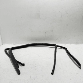 Volkswagen Atlas Rear Passenger Door Window Glass Run Channel Seal 2018-2024 OEM