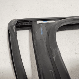 Volkswagen Atlas Rear Passenger Door Window Glass Run Channel Seal 2018-2024 OEM