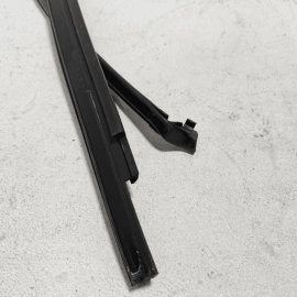 Volkswagen Atlas Rear Passenger Door Window Glass Run Channel Seal 2018-2024 OEM