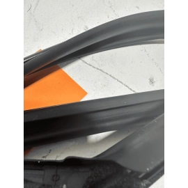 2018-2020 HONDA ACCORD REAR PASSENGER DOOR WINDOW GLASS RUN CHANNEL SEAL OEM