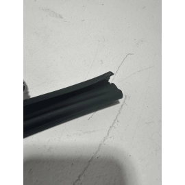 2018-2020 HONDA ACCORD REAR PASSENGER DOOR WINDOW GLASS RUN CHANNEL SEAL OEM