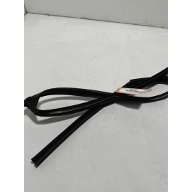 2018-2020 HONDA ACCORD REAR PASSENGER DOOR WINDOW GLASS RUN CHANNEL SEAL OEM