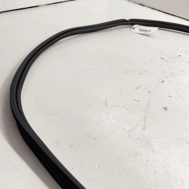 2018-2023 GMC Terrain Liftgate Tailgate Back Door On Body Wheatherstrip Sea