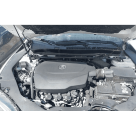 ACURA TLX REAR LEFT DRIVER SIDE DOOR WINDOW BELT MOLDING OEM 2018 - 2020