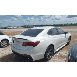 ACURA TLX REAR LEFT DRIVER SIDE DOOR WINDOW BELT MOLDING OEM 2018 - 2020