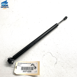 2007-13 Mercedes S550 S600 Rear Driver Passenger Door Check Strap Shock OEM