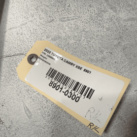 Rear Left Driver Door Glass Window Toyota Camry 2018-2024 OEM