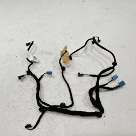 2014 Mercedes-Benz S550 Rear Right Passenger DOOR WIRING HARNESS OEM
