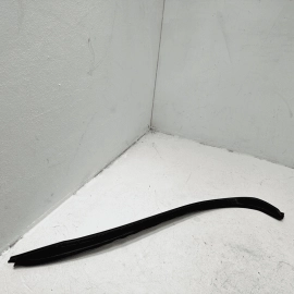 2014 - 2017 MERCEDES S550 W222 REAR PASSENGER SIDE DOOR SEAL WEATHER STRIP OEM