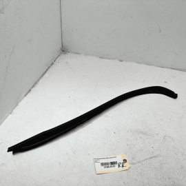 2014 - 2017 MERCEDES S550 W222 REAR PASSENGER SIDE DOOR SEAL WEATHER STRIP OEM