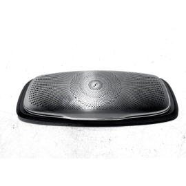 2014-2017 Mercedes-Benz S 550 Rear Ceiling Loudspeaker Grille Cover OEM