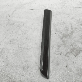 VOLKSWAGEN PASSAT FRONT PASSENG SIDE DOOR PANEL MOLDING TRIM COVER 2016-2019 OEM