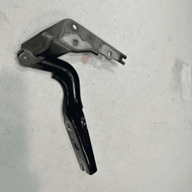 2016-2019 VOLKSWAGEN VW PASSAT HOOD HINGE DRIVER SIDE * Black Pearl 2T2T * OEM