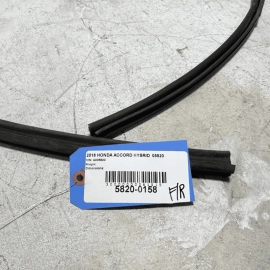 HONDA ACCORD 2018-2024 DOOR GLASS RUN CHANNEL SEAL FRONT RIGHT PASSENGER OEM