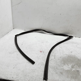 HONDA ACCORD 2018-2024 DOOR GLASS RUN CHANNEL SEAL FRONT RIGHT PASSENGER OEM