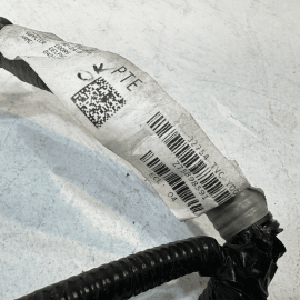 HONDA ACCORD REAR LEFT DRIVER SIDE DOOR WIRE WIRING HARNESS 2018-2020 OEM