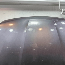 2016-2022 Honda Pilot Front Hood Bonnet Shell Cover Panel *NH797M* OEM