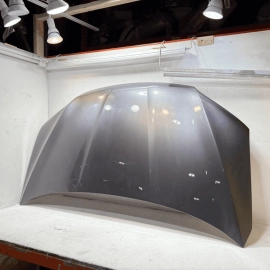 2016-2022 Honda Pilot Front Hood Bonnet Shell Cover Panel *NH797M* OEM