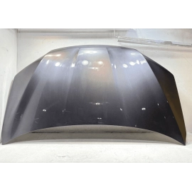2016-2022 Honda Pilot Front Hood Bonnet Shell Cover Panel *NH797M* OEM