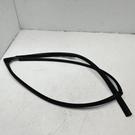 2016-2021 Honda Pilot Front Right Door Window Glass Run Channel Seal OEM