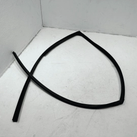 2016-2021 Honda Pilot Front Right Door Window Glass Run Channel Seal OEM