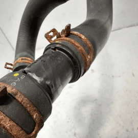 2016 - 2024 Honda Pilot Radiator Coolant Lower Hose OEM