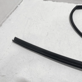 HONDA PILOT 2016-2022 FRONT DRIVER DOOR WINDOW GLASS RUN CHANNEL SEAL OEM