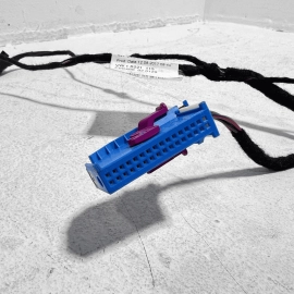 2018-2021 Volkswagen Atlas SE Front Passenger Side Door Wire Wiring Harness OEM