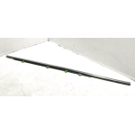 2016-2022 Honda Pilot Door Window Belt Molding Rear Left Driver Side OEM